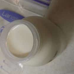 Fatty milk, that top fat was soo thick it didn't even spill when turned over. I had to break it up with a fork first.